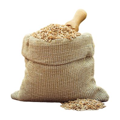 Futter-Weizen Ernte 2025 25kg
