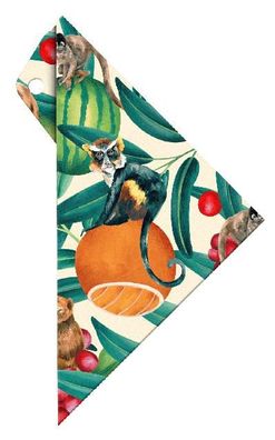 Aristo Geocover 16 cm mit Geodreieck AR1552 + Schutzhülle Motiv TropicLife