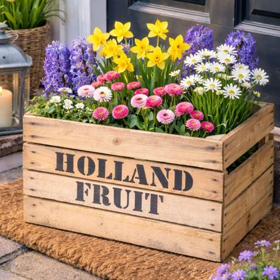 Obstkiste Holland FRUIT 50 x 40 x 30cm LxBxT Weinkiste Dekokiste Apfelkiste Holzk