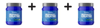 3 x Weider Victory Endurance Micronized Creatine + AstraGin (300g) Fresh Mint Lemonad