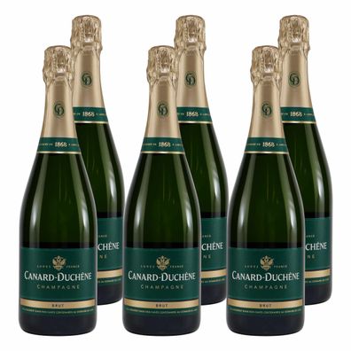 Canard Duchêne Champagne Brut (6 x 0,75L)