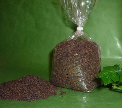 Senfsaat schwarze Bio Senfkörner 150g Thüringen