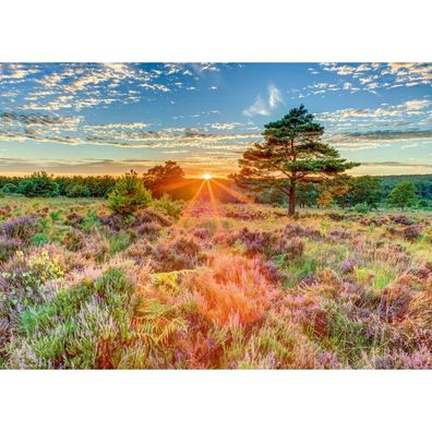 Schmidt Spiele Heide im Sonnenuntergang, Puzzle 1.000 Teile
