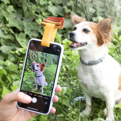 Innovagoods Selfie Clip For Pets, Interactive Game For Pets