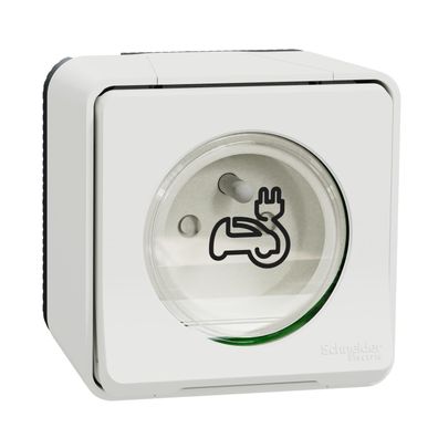 Schneider Electric Mureva Styl Green Up EV-Steckdose 2P+T IP55