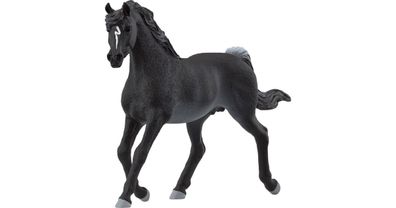 Horse Club Araber Hengst