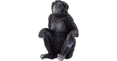 Wild Life Bonobo Weibchen