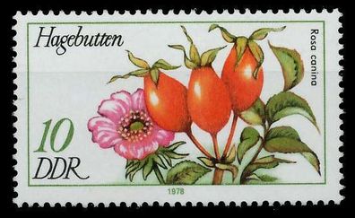 DDR 1978 Nr 2287 postfrisch SE2603A