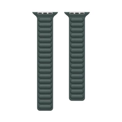 Dux Ducis Magnetisches Armband für Apple Watch 38/40/41 mm - Grün