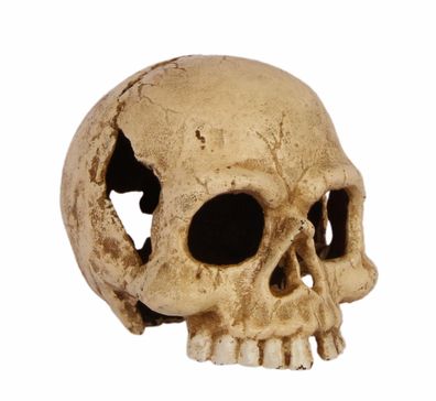 Moritz Totenkopf Briefbeschwerer Gusseisen Dekoration Gewicht Skelett Schädel Creme-W