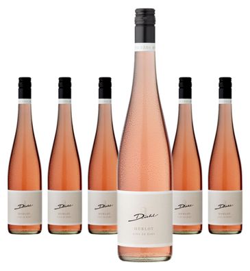 6 x Diehl Eins Zu Eins Merlot Rosé feinherb – 2024