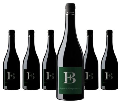 6 x Emil Bauer & Söhne Nussdorfer Grauer Burgunder – 2025