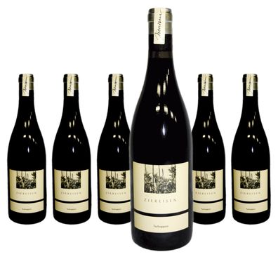 6 x Ziereisen Blauer Spätburgunder trocken "Tschuppen" – 2023