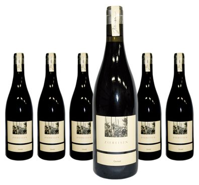 6 x Ziereisen Gestad Syrah trocken – 2023