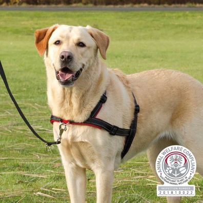 Trainingsgeschirr Lead'n'Walk Trixie Soft L-XL