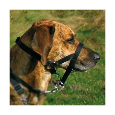 Trixie Top Trainer Ausbildungsgeschirr Hund max 31 cm