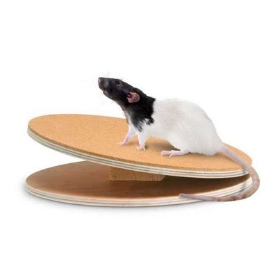 Weidenball Spielball Nagerspielzeug Laufscheibe Bogie Disc Nagerlaufscheibe Karlie Fl