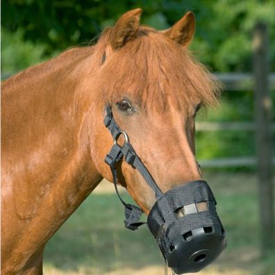 USG Weidemaulkorb - Fressbremse für Pferde, Extra groß