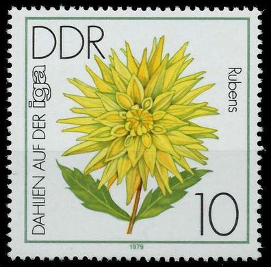 DDR 1979 Nr 2435 postfrisch SE28EE2