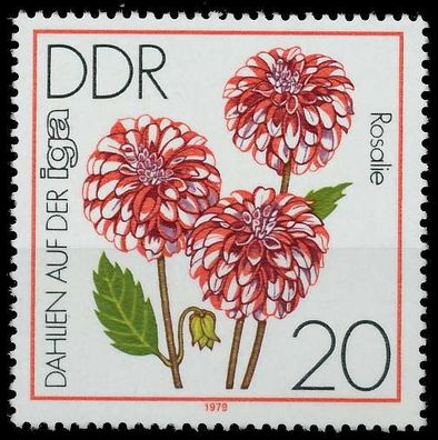 DDR 1979 Nr 2436 postfrisch SE28EEA