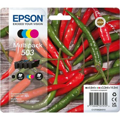 Epson ink 503 Multipack (C13T09Q64010)