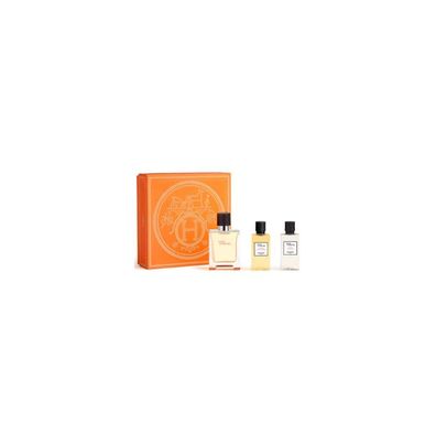 Terre D' ermes EDT 50 ml + Duschgel 40 ml + AFTER SHAVE 40 ml