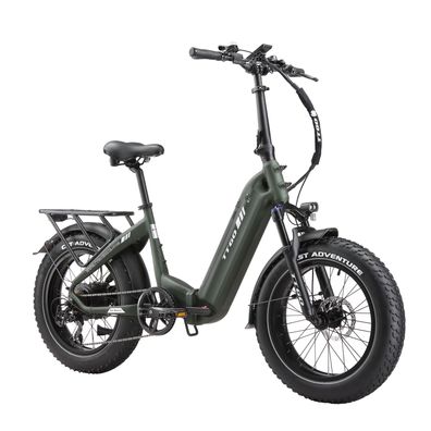 TTGO F6 boost 20 Zoll E-Bike 250W 70Nm 120-140km Elektrofahrrad 48V 18Ah ebike