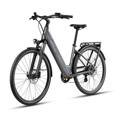DERUIZ E-Bike 28 Zoll Quartz Elektrofahrrad 250W/55 Nm,48V/644Wh, bis zu 161km