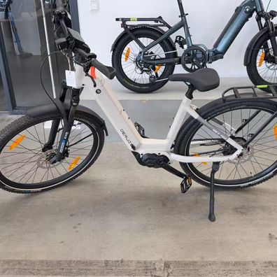 E-Bike Mica Pro Elektrofahrrad mit 250 W 110 Nm Mittelmotor für Damen und Herren