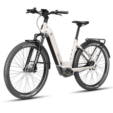 Deruiz 29"E-Bike Mica Pro Elektrofahrrad mit 250 W 110 Nm MTB für Damen und Herren