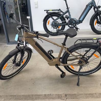 DERUIZ E-Bike Trekkingrad 250W 55Nm Elektrofahrrad Marble SUV, 27,5 Zoll MTB