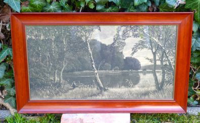 Radierung Otto Protzen Angler am See Wald Landschaft Bild 63 x 38 cm Kunst Antik 1900