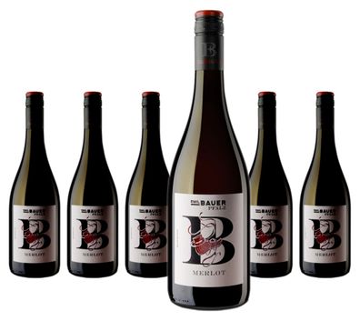 6 x Emil Bauer & Söhne Bundschuh Merlot – 2023