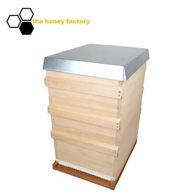 Dadant 10 US Bienenbeute SET Holz "SYSTEMBEUTE" Imkerei NICOT Boden mit Fütterer