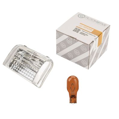 Blinkerkappe Seitenblinker rechts mit Leuchtmittel passend für Fiat Ducato 250