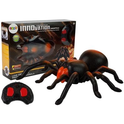 IMPORT Leantoys Riesige Batterie Ferngesteuerte R/C Spinne schwarz und orange