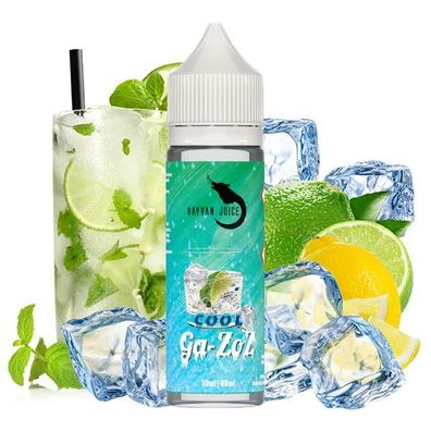 Hayvan Juice - Ga-Zoz Cool Longfill Aroma (10 ml / 60 ml)