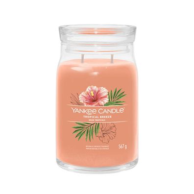 Yankee Candle Tropical Breeze Signatur Kerze 567 g