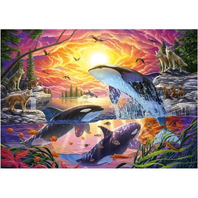 EDUCA Puzzle Orcas und Wölfe 4000 dlks