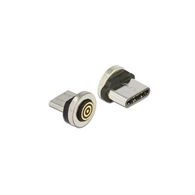 DELOCK Magnetischer Adapter USB Type-C Stecker