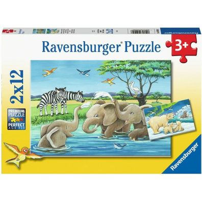 Pz. Tierkinder aus aller Welt 2x12T