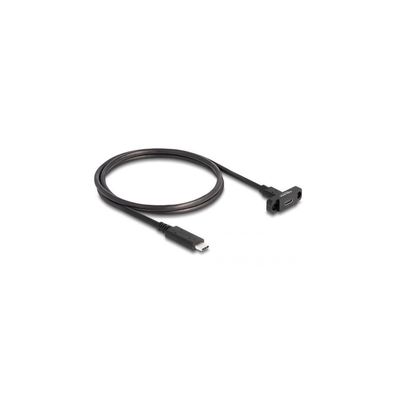 DELOCK SuperSpeed USB 10 Gbps (USB 3.2 Gen 2) Kabel USB Type