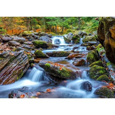 ENJOY Puzzle Waldfluss im Herbst 1000 Teile