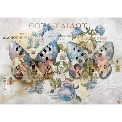 HEYE Puzzle Metamorphose: Flügel II 1000 Teile