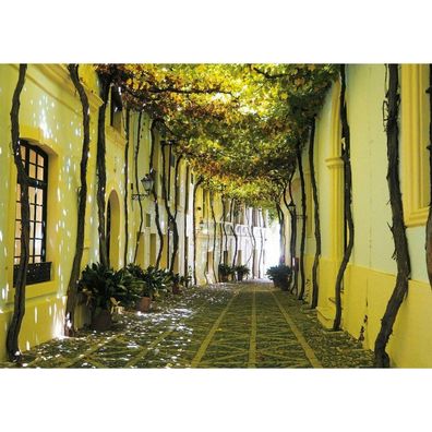Piatnik Andalusische Straß Puzzle 1000 Teile