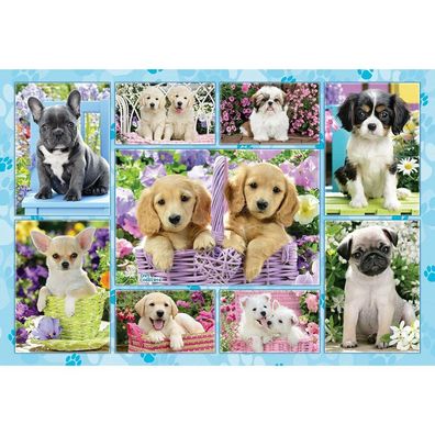 Schmidt Spiele Schmidt Spiele Puzzle Welpen, 200 Teile