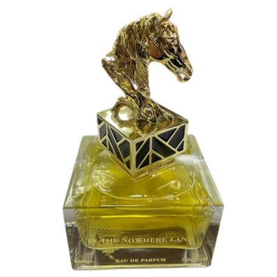 In The Nowhere Land Eau De Parfum für Frauen 100 ml