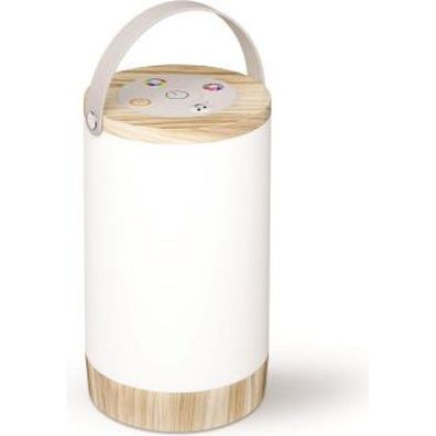 Avide LED tragbare Tischlampe RGB mit Druckknopf