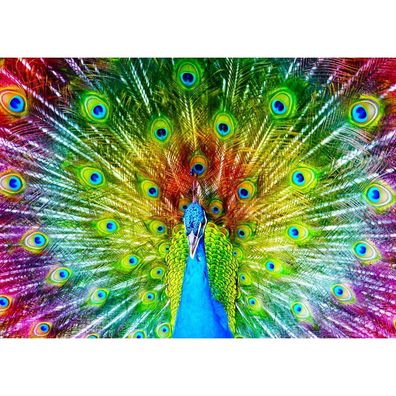 ENJOY Puzzle Farbiger Pfau 1000 Teile