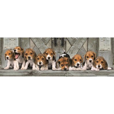 Clementoni Panorama-Puzzle Beagle 1000 Teile